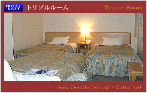 �����z�e���C�[�X�g�F�g���v�����[��